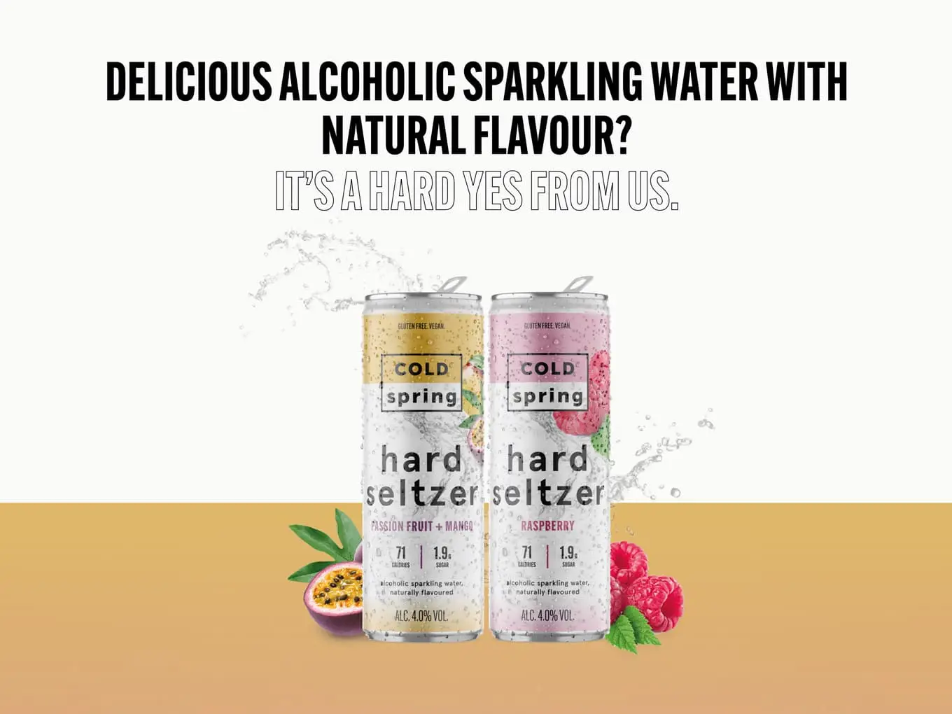 Hard Seltzer great website design